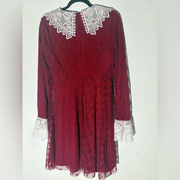 Jawbreaker Dress - Picture 7 of 9